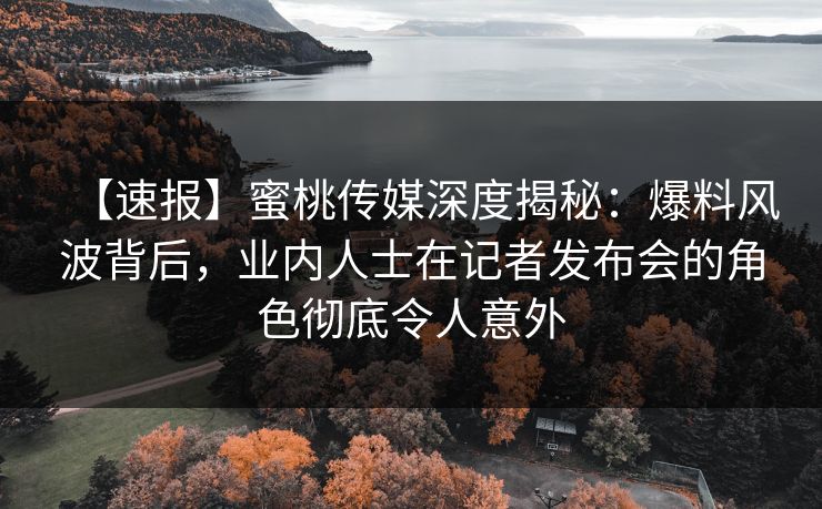 【速报】蜜桃传媒深度揭秘:爆料风波背后,业内人士在记者发布会的角色彻底令人意外 【速报】蜜桃传媒深度揭秘:爆料风波背后,业内人士在记者发布会的角色彻底令人意外