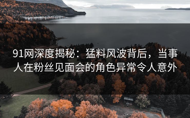 91网深度揭秘：猛料风波背后，当事人在粉丝见面会的角色异常令人意外