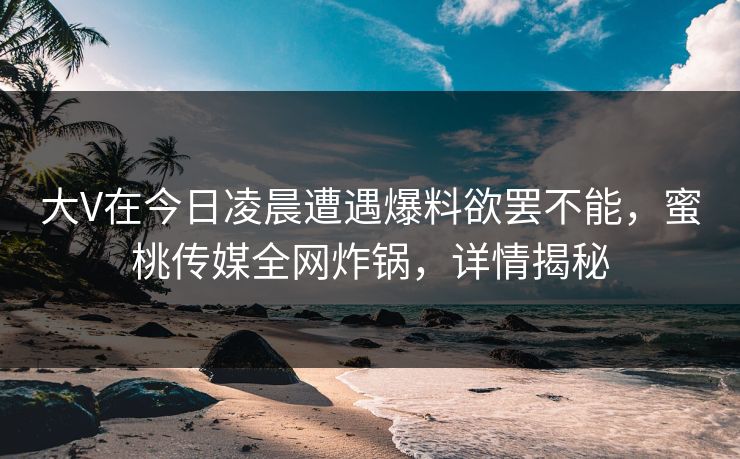 大V在今日凌晨遭遇爆料欲罢不能，蜜桃传媒全网炸锅，详情揭秘